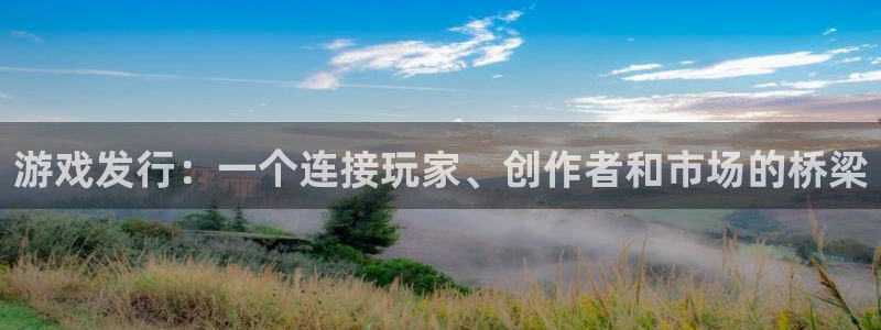 杏耀官网注册地址在哪里啊：游戏发行：一个连接玩家、创作者和市场的桥梁