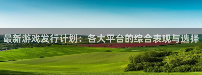 杏耀官网平台代理条件是什么：最新游戏发行计划：各大平台的综合表现与选择