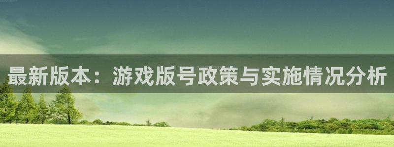 杏耀实业投资(东莞)有限公司：最新版本：游戏版号政策与实施情况分析