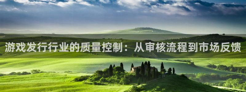 陕西杏耀子文化创意有限公司有什么游戏：游戏发行行业的质量控制：从审核流程到市场反馈