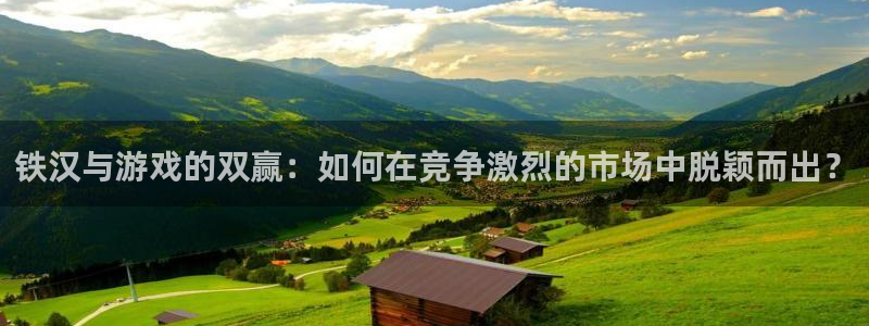 杏耀官网官网注册账号怎么注册：铁汉与游戏的双赢：如何在竞争激烈的市场中脱颖而出？