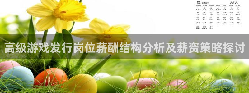 杏耀防水的质量怎么样：高级游戏发行岗位薪酬结构分析及薪资策略探讨