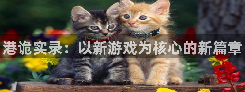 杏耀子上市：港诡实录：以新游戏为核心的新篇章
