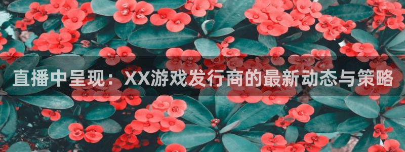 南京杏耀子电子商务有限公司：直播中呈现：XX游戏发行商的最新动态与策略