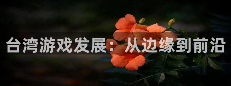 杏耀官网官网注册账号是什么：台湾游戏发展：从边缘到前沿