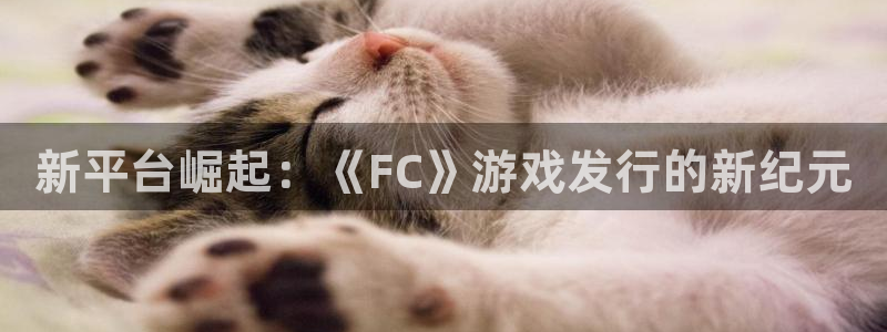 杏耀官网注册平台怎么样啊：新平台崛起：《FC》游戏发行的新纪元