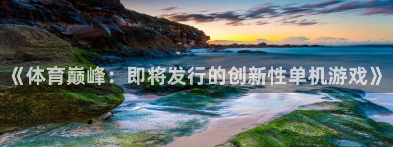 杏耀衣服怎么样