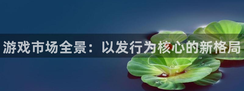 杏耀子图片：游戏市场全景：以发行为核心的新格局