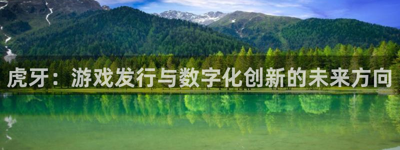 杏耀电商怎么样：虎牙：游戏发行与数字化创新的未来方向