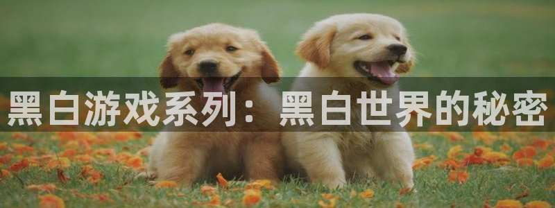 杏耀官网解绑银行卡怎么弄