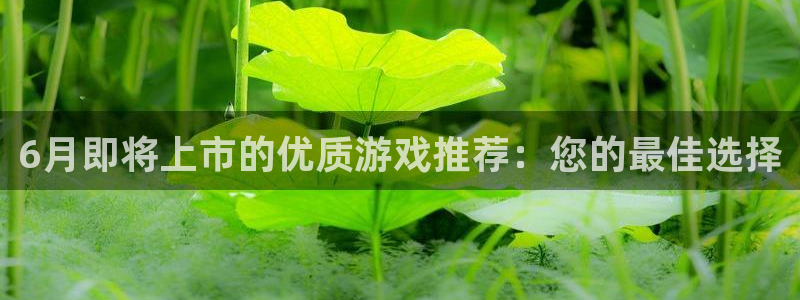 杏耀子文化创意有限公司特邀玩家：6月即将上市的优质游戏推荐：您的最佳选择