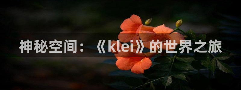 杏耀logo：神秘空间：《klei》的世界之旅