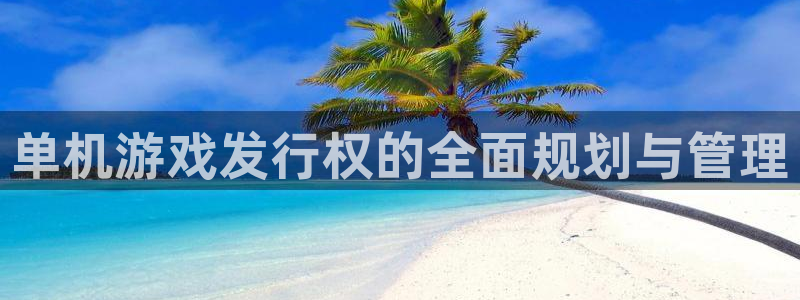 我要看杏耀：单机游戏发行权的全面规划与管理
