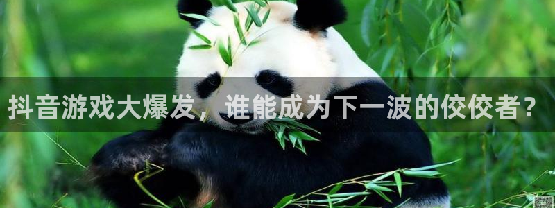 杏耀lvnces是什么档次