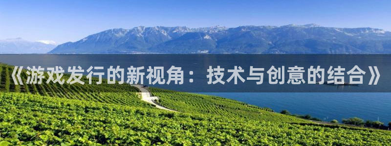 陕西杏耀子文化创意有限公司是做什么的：《游戏发行的新视角：技术与创意的结合》