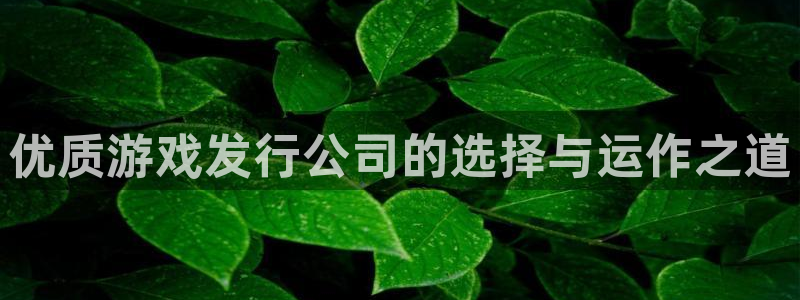 杏耀官网平台代理开号：优质游戏发行公司的选择与运作之道