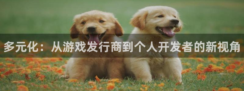 杏耀官网平台代理条件是什么：多元化：从游戏发行商到个人开发者的新视角
