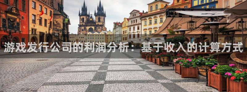 杏耀技术有限公司官网：游戏发行公司的利润分析：基于收入的计算方式