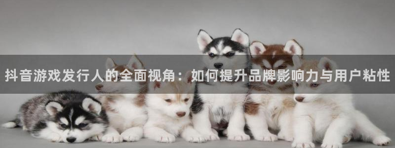 江苏杏耀智得新材料有限公司：抖音游戏发行人的全面视角：如何提升品牌影响力与用户粘性