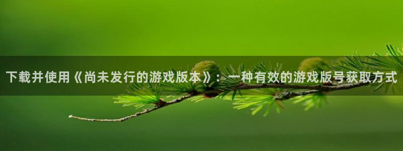 杏耀官网客服招聘：下载并使用《尚未发行的游戏版本》：一种有效的游戏版号获取方式