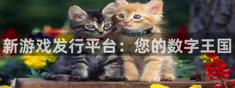 杏耀官网：新游戏发行平台：您的数字王国