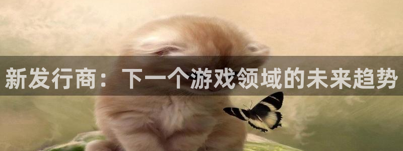 杏耀官网注册地址查询：新发行商：下一个游戏领域的未来趋势
