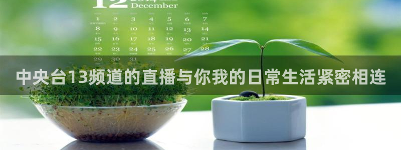 飞速直播体育nba