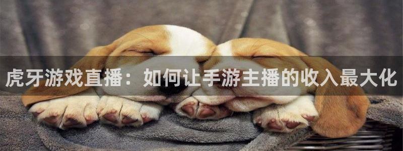飞速直播体育直播：虎牙游戏直播：如何让手游主播的收入最大化