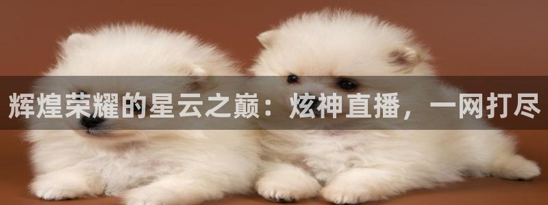 飞速直播体育cba：辉煌荣耀的星云之巅：炫神直播，一网打尽