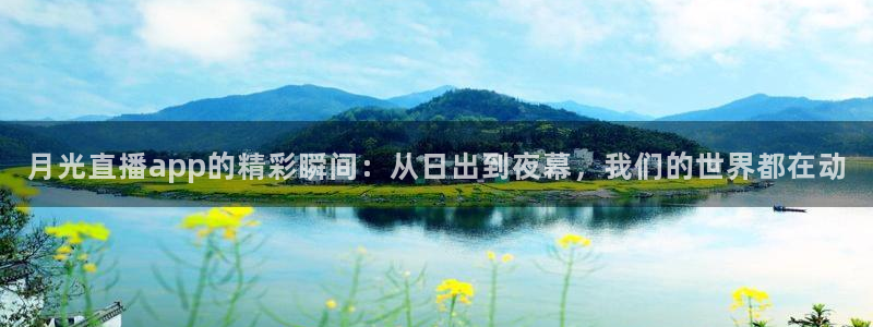 飞速体育免费直播：月光直播app的精彩瞬间：从日出到夜幕，我们的世界都在动