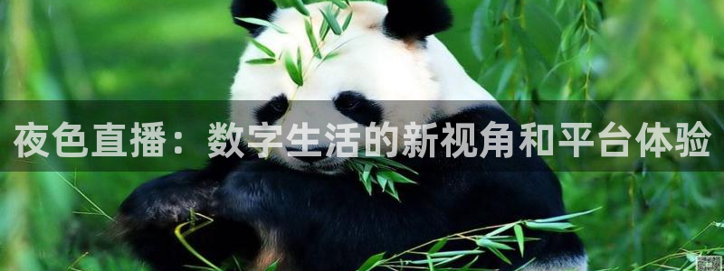 飞速直播体育直播：夜色直播：数字生活的新视角和平台体验