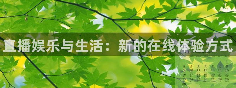 飞速体育直播nba高清：直播娱乐与生活：新的在线体验方式
