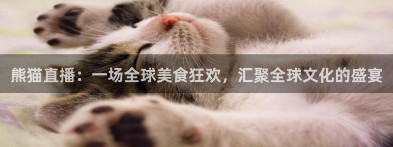 飞速直播nba直播无插件：熊猫直播：一场全球美食狂欢，汇聚全球文化的盛宴