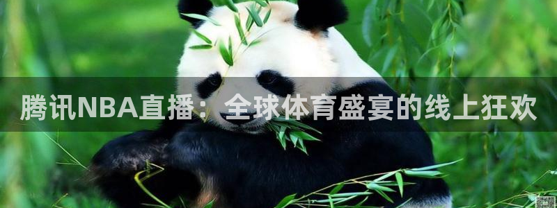 飞速直播看球：腾讯NBA直播：全球体育盛宴的线上狂欢
