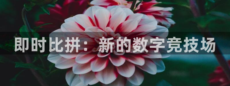 飞速体育免费直播：即时比拼：新的数字竞技场
