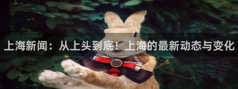 飞速体育直播无插件：上海新闻：从上头到底！上海的最新动态与变化