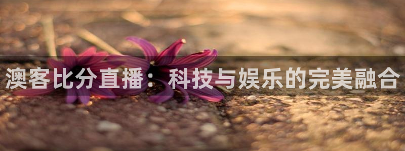 足球直播飞速：澳客比分直播：科技与娱乐的完美融合