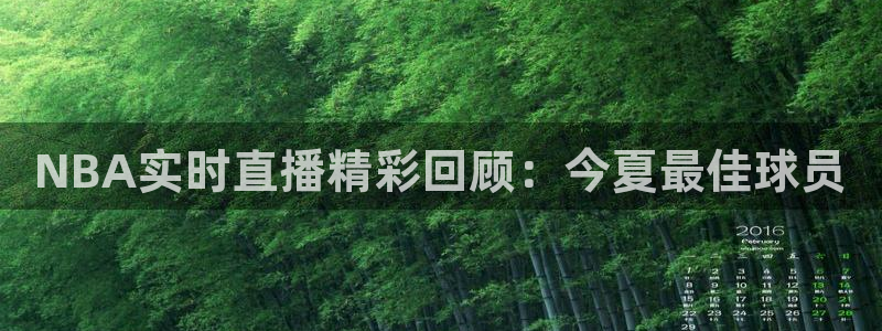 飞速足球直播：NBA实时直播精彩回顾：今夏最佳球员