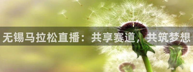 飞速直播nba直播：无锡马拉松直播：共享赛道，共筑梦想