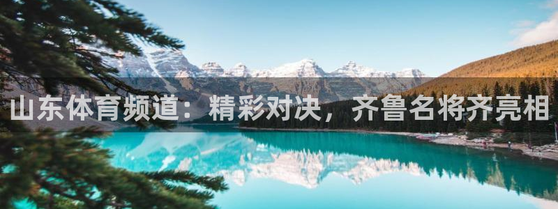 极速飞速体育直播吧体育直播：山东体育频道：精彩对决，齐鲁名将齐亮相
