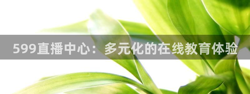 nba无插件直播飞速体育直播：599直播中心：多元化的在线教育体验